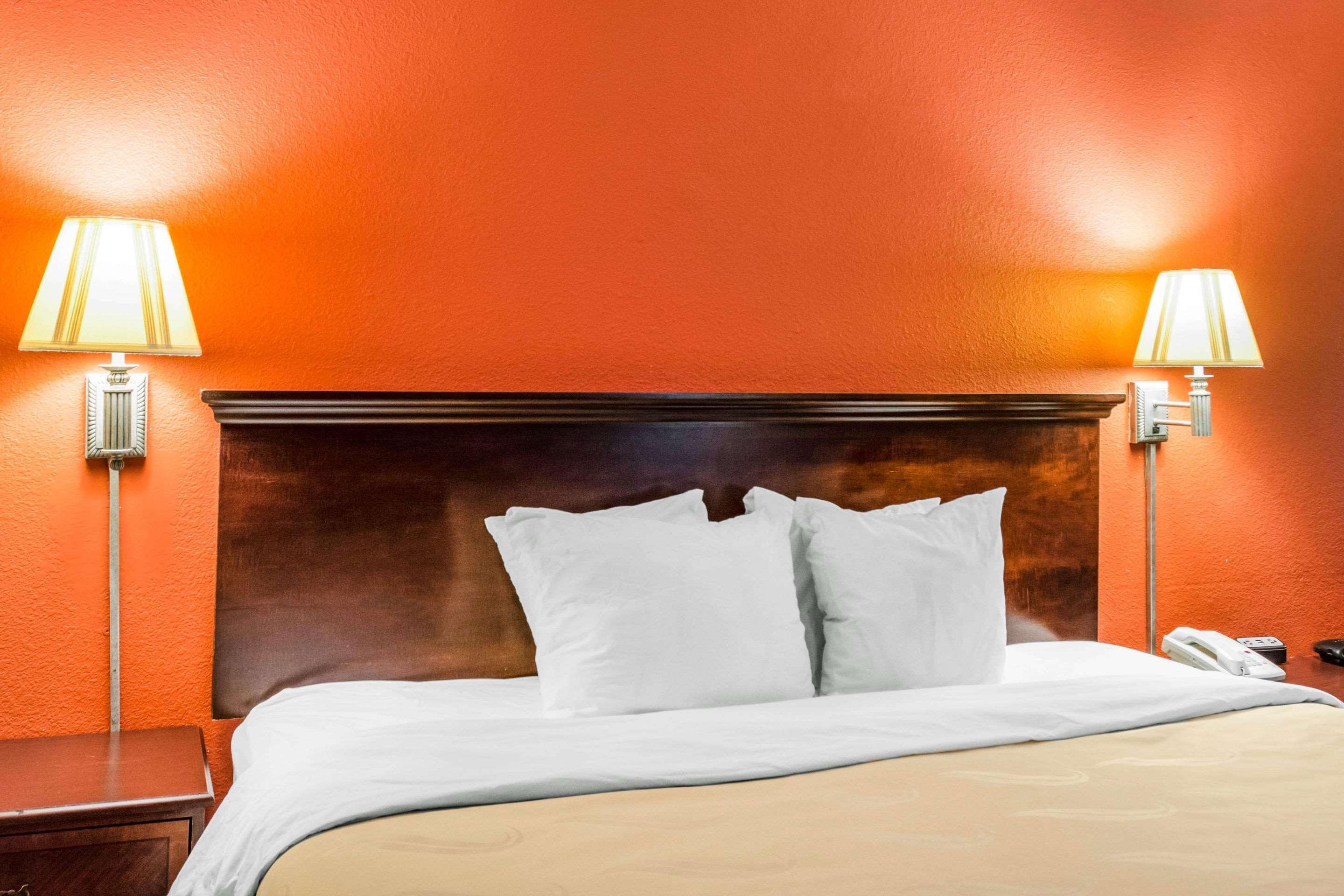 Quality Inn Albany Eksteriør bilde